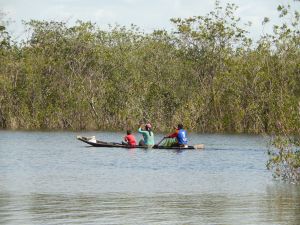 Por el caño San Joaquín pasan familias indígenas en sus canoas. Foto: Juan Uribe